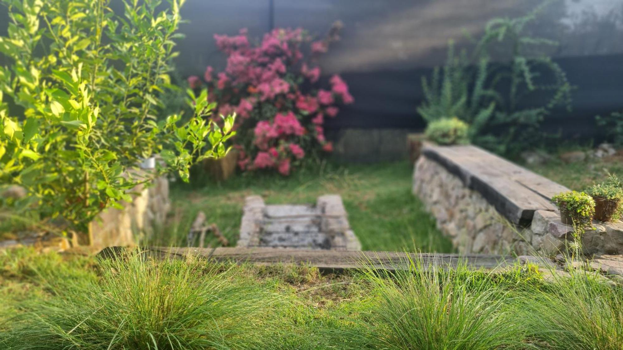 Homestay El Ceibo En Suite, San Lorenzo *