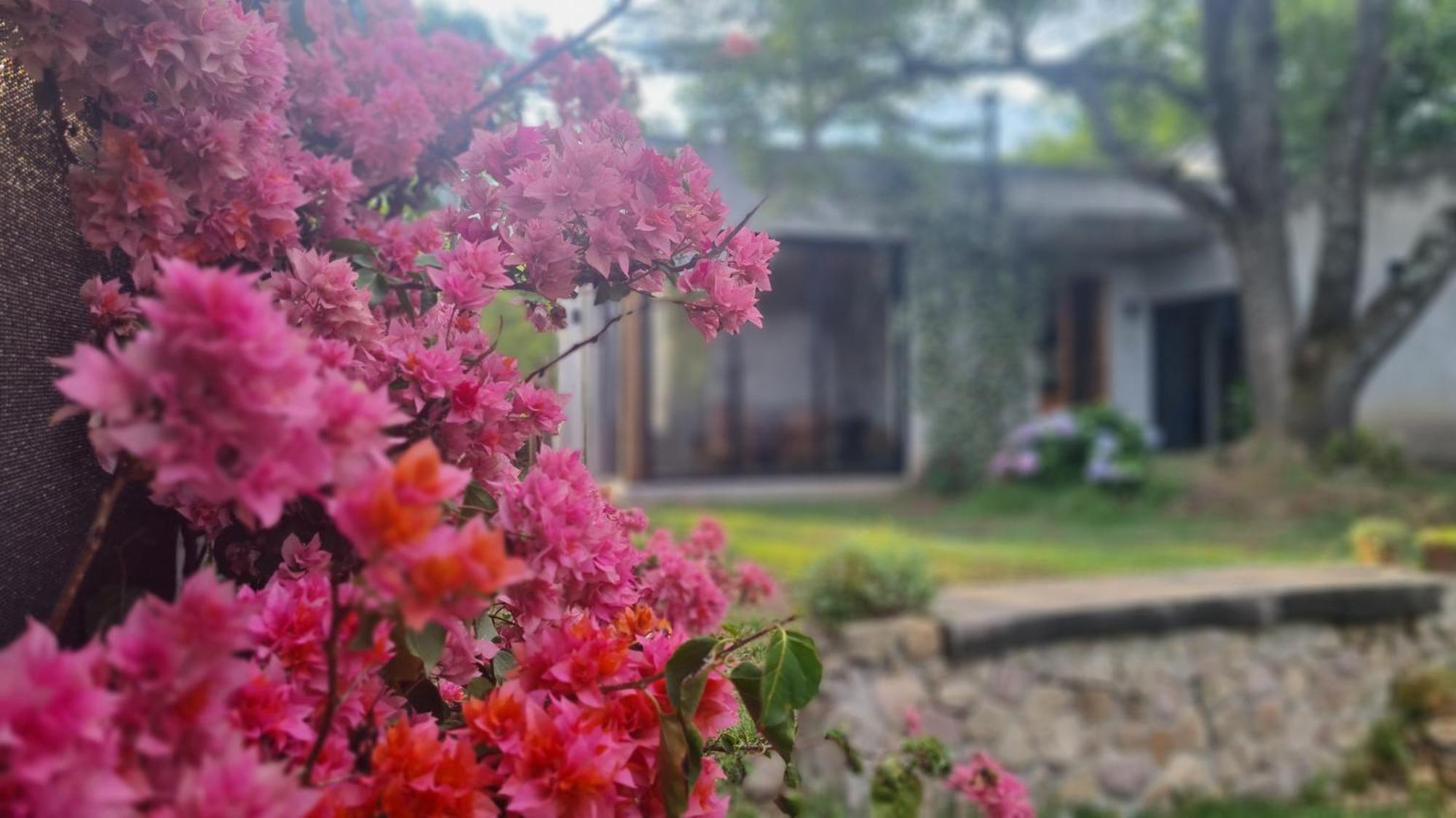 El Ceibo En Suite, San Lorenzo Salta
