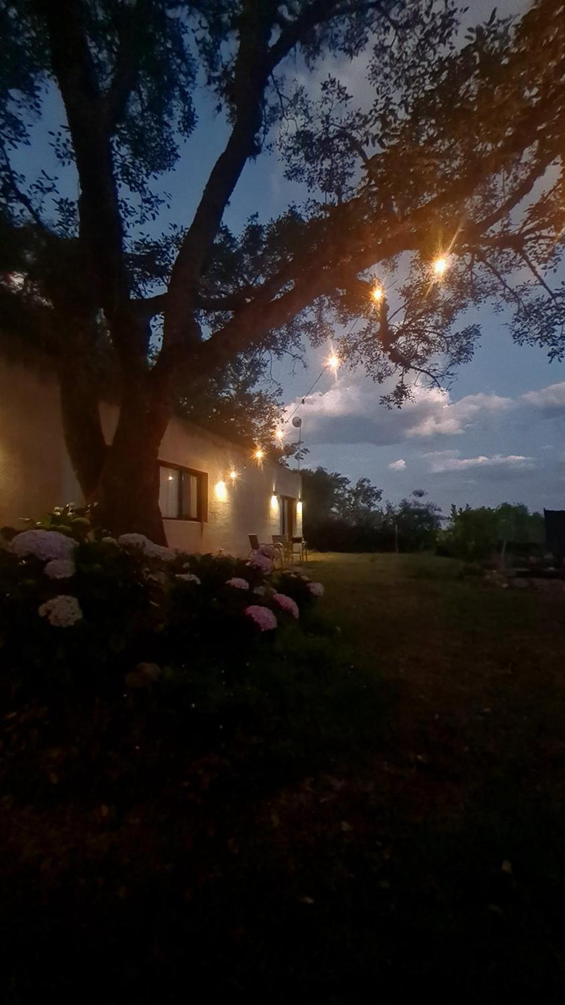 El Ceibo En Suite, San Lorenzo Homestay