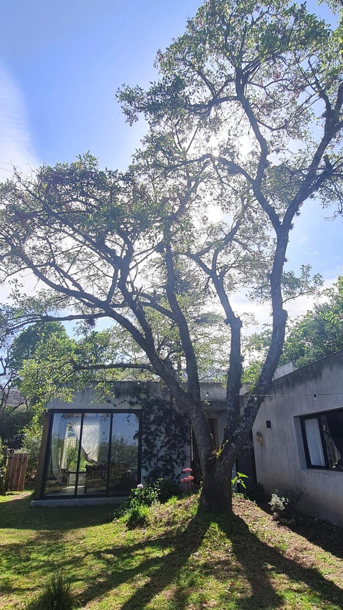 El Ceibo En Suite, San Lorenzo Homestay