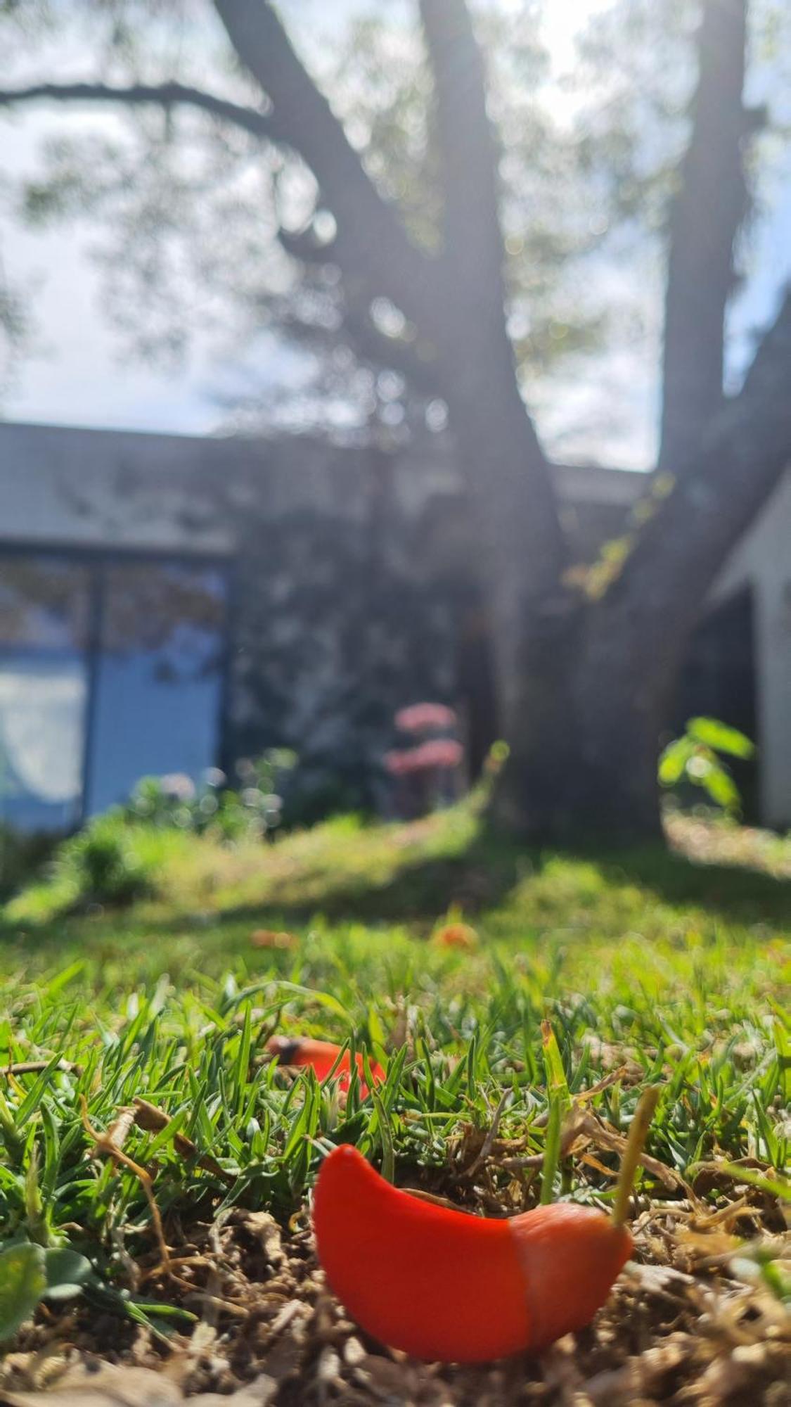 El Ceibo En Suite, San Lorenzo Homestay
