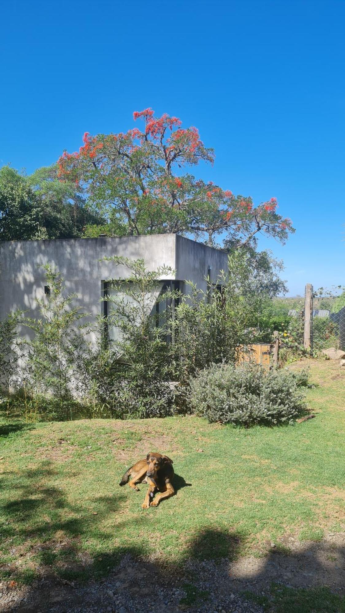 Homestay El Ceibo En Suite, San Lorenzo *